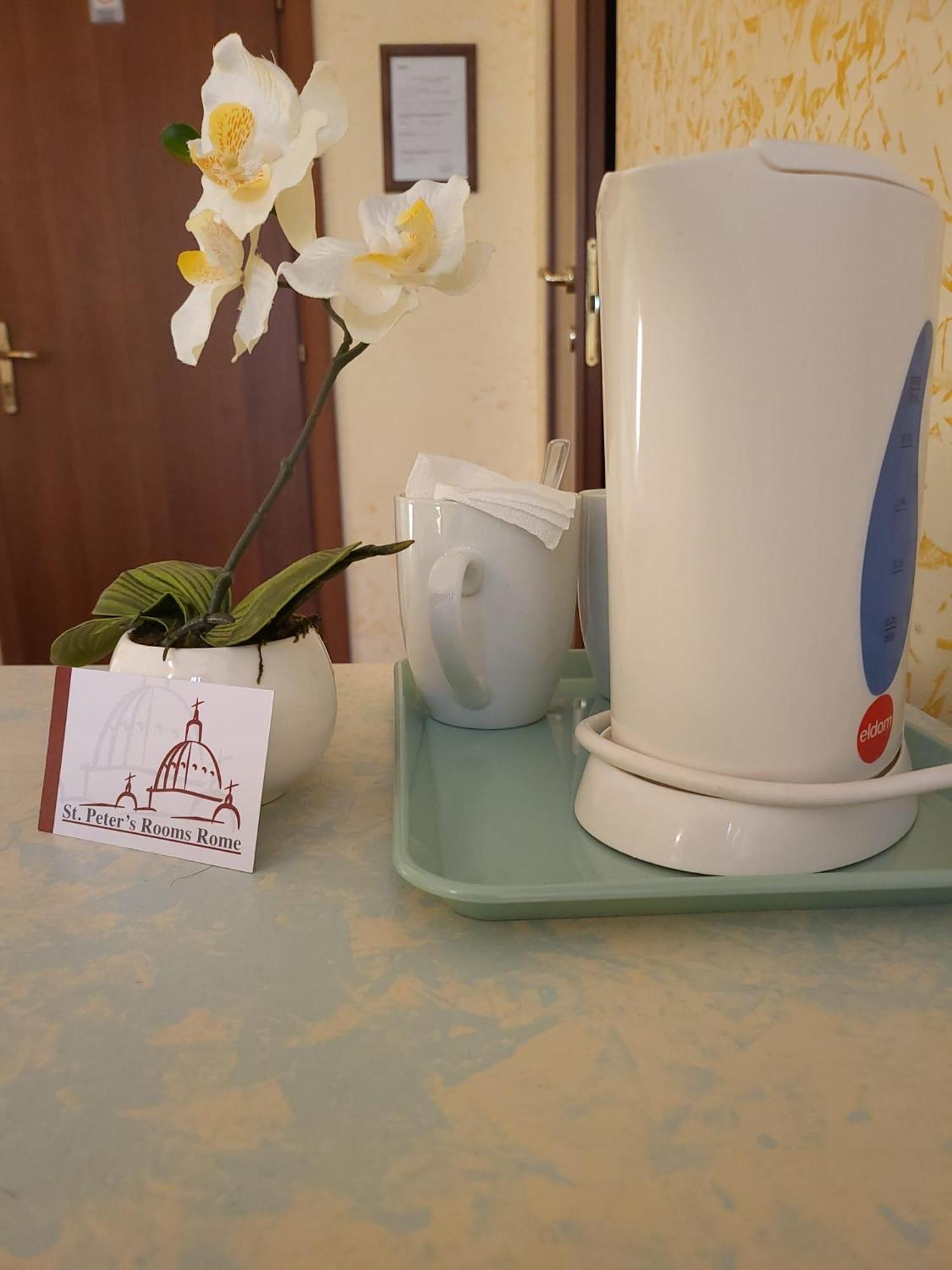 St. Peter'S Rooms روما المظهر الخارجي الصورة